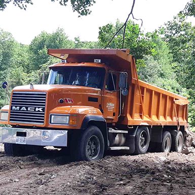 excavation-image_01_sm.jpg